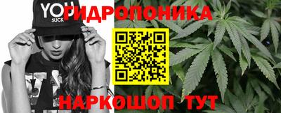 сатива Кунгур