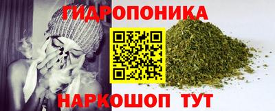 сатива Кунгур
