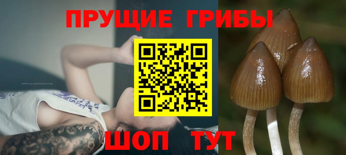Галлюциногенные грибы мицелий Красноперекопск